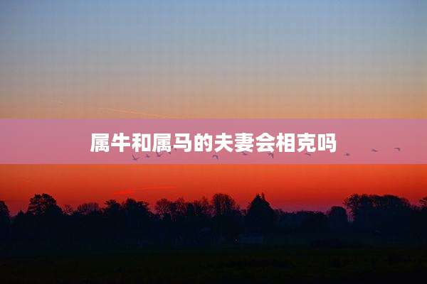 属牛和属马的夫妻会相克吗
