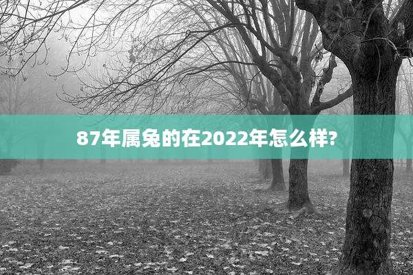87年属兔的在2022年怎么样?