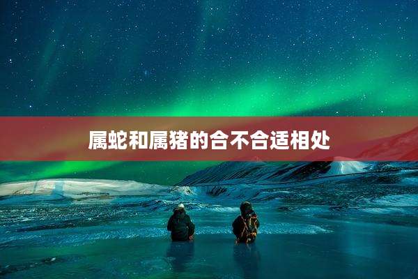 属蛇和属猪的合不合适相处