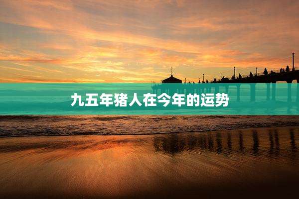 九五年猪人在今年的运势
