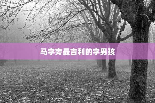 马字旁最吉利的字男孩