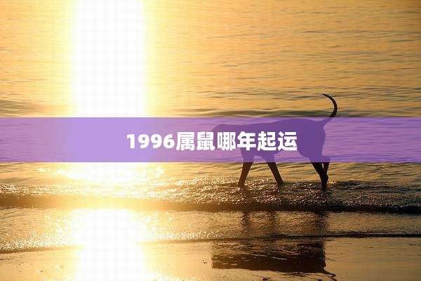 1996属鼠哪年起运