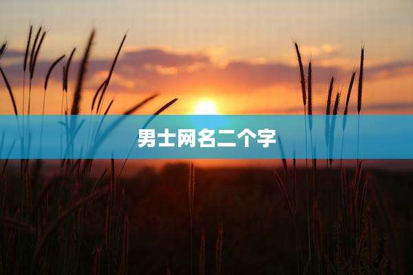 男士网名二个字
