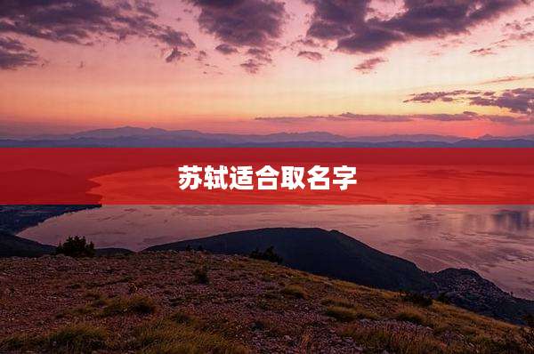 苏轼适合取名字
