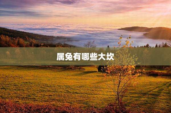属兔有哪些大坎