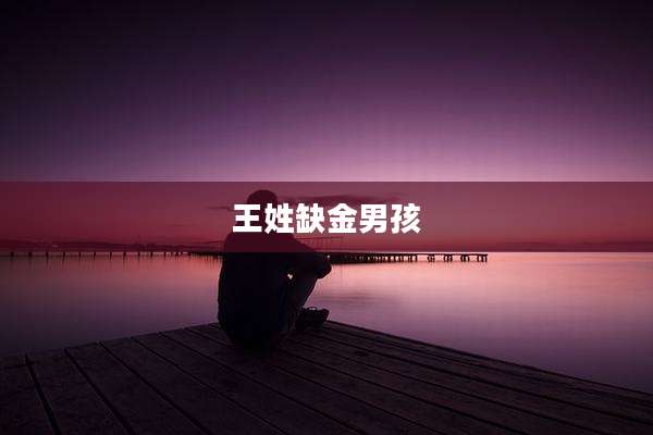 王姓缺金男孩