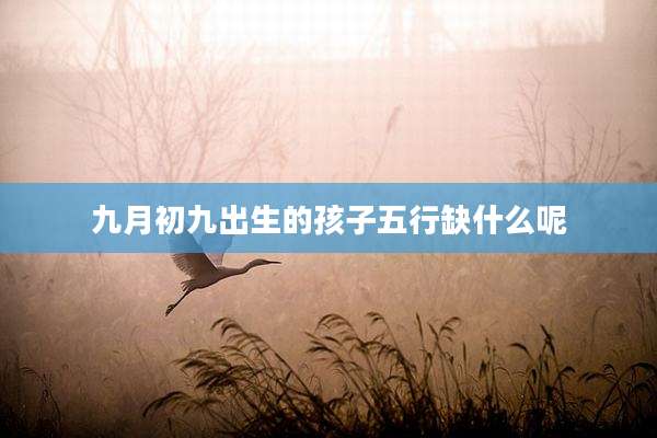 九月初九出生的孩子五行缺什么呢