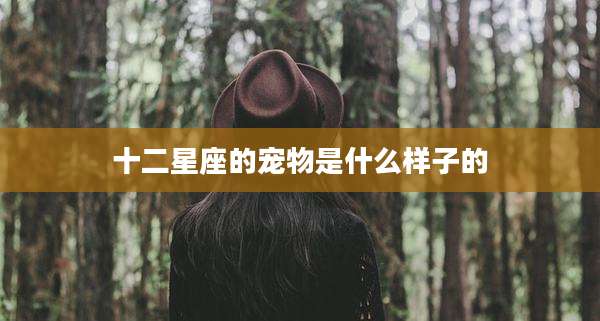 十二星座的宠物是什么样子的