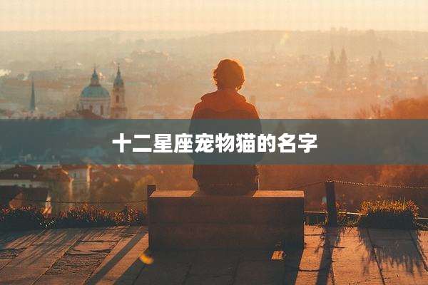 十二星座宠物猫的名字