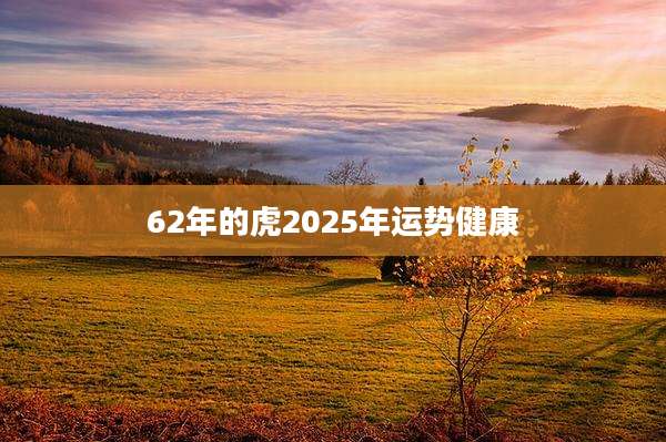 62年的虎2025年运势健康