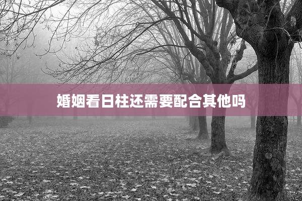 婚姻看日柱还需要配合其他吗