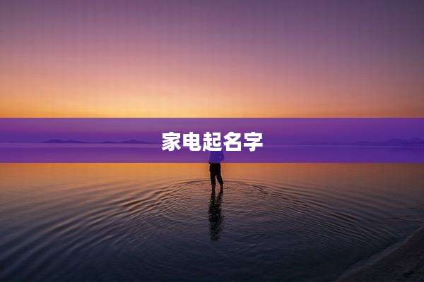 家电起名字