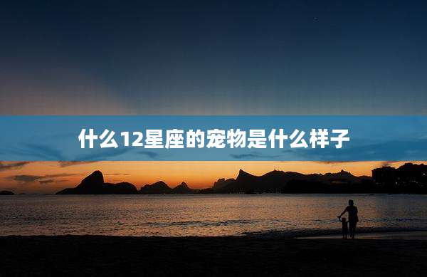 什么12星座的宠物是什么样子