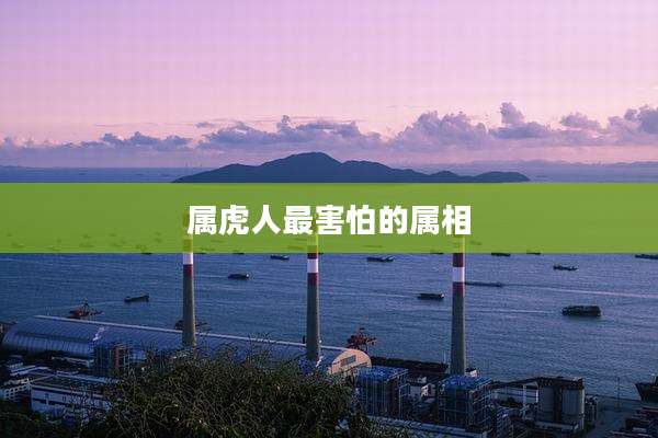 属虎人最害怕的属相