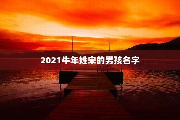 2021牛年姓宋的男孩名字