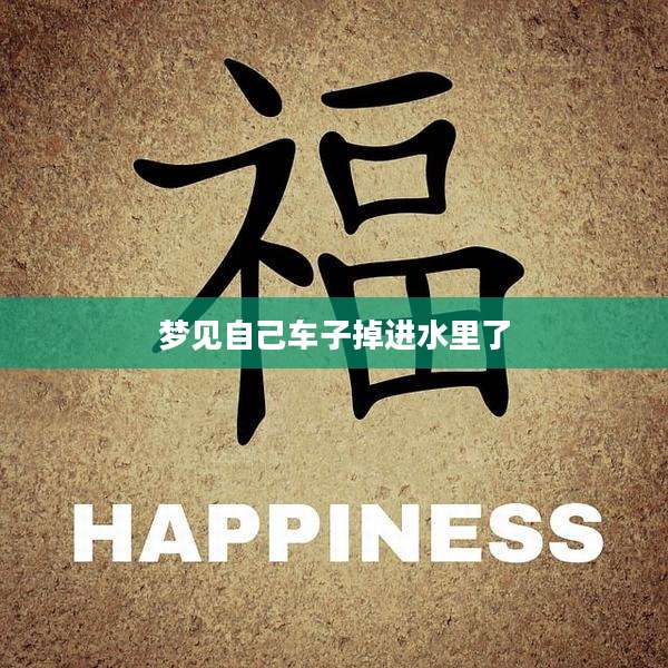 梦见自己车子掉进水里了