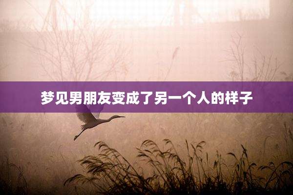 梦见男朋友变成了另一个人的样子