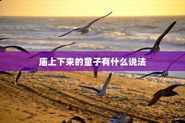庙上下来的童子有什么说法