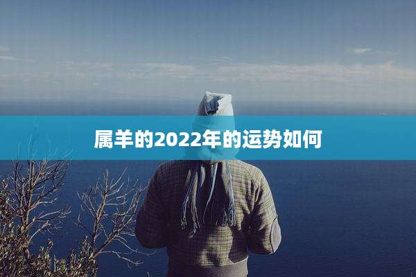 属羊的2022年的运势如何