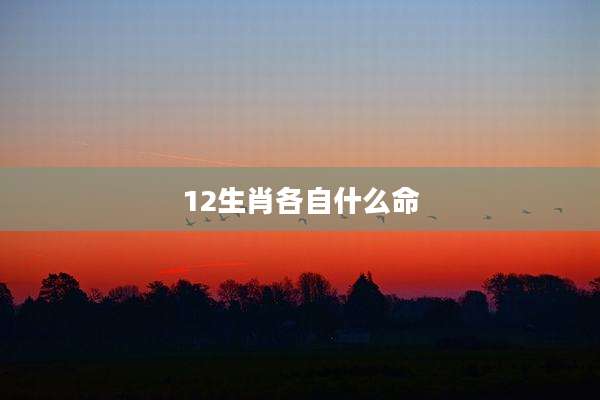 12生肖各自什么命