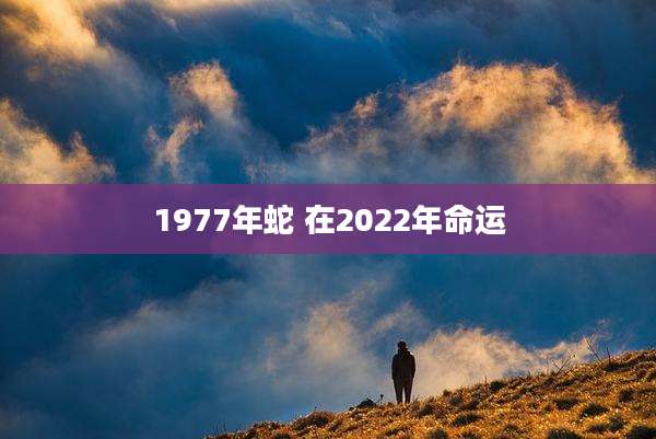 1977年蛇 在2022年命运