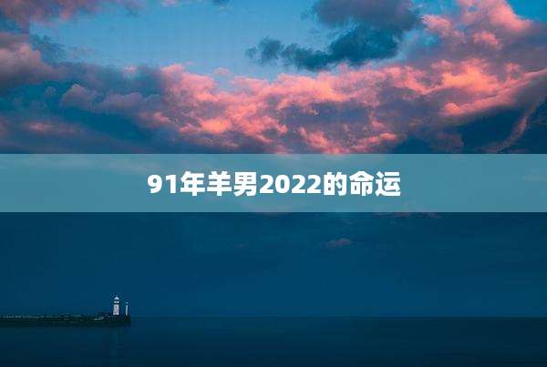 91年羊男2022的命运