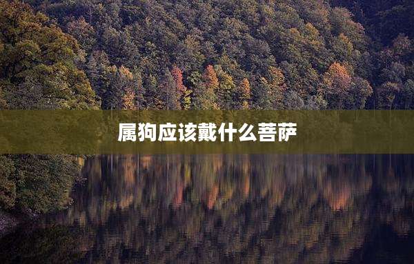 属狗应该戴什么菩萨