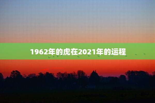 1962年的虎在2021年的运程