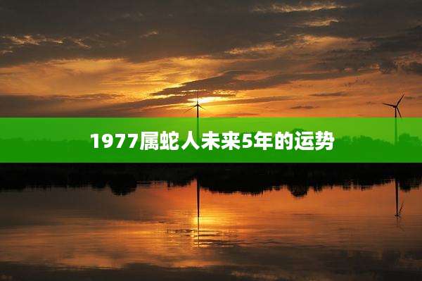1977属蛇人未来5年的运势