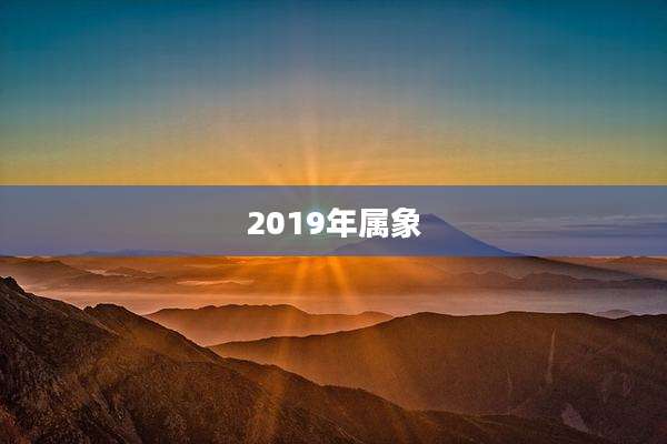 2019年属象