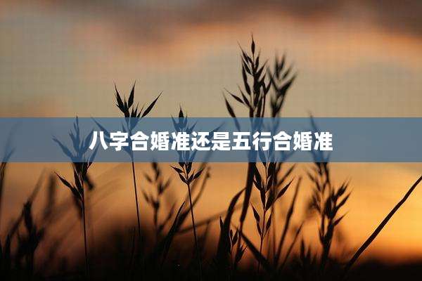 八字合婚准还是五行合婚准