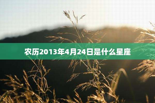 农历2013年4月24日是什么星座