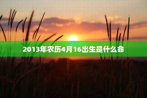 2013年农历4月16出生是什么命