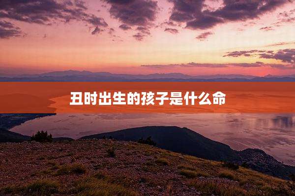 丑时出生的孩子是什么命