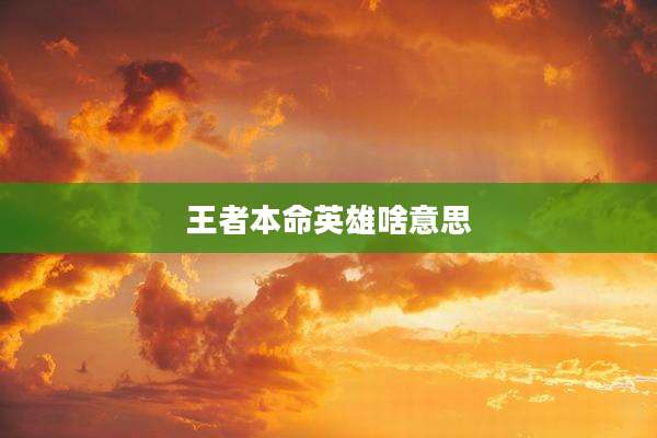 王者本命英雄啥意思