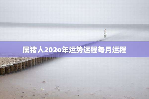 属猪人202o年运势运程每月运程