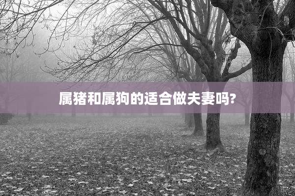 属猪和属狗的适合做夫妻吗?