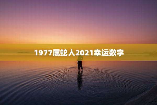 1977属蛇人2021幸运数字