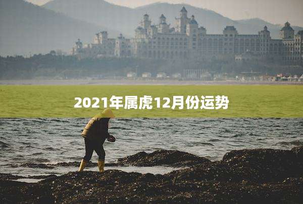 2021年属虎12月份运势
