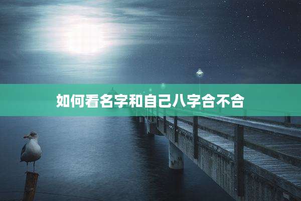 如何看名字和自己八字合不合
