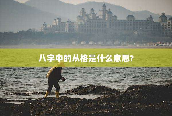 八字中的从格是什么意思?