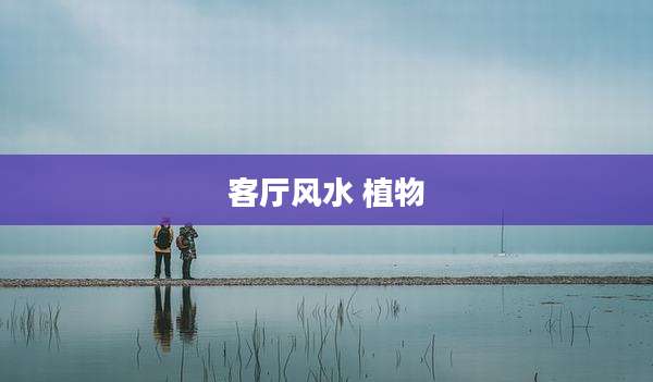 客厅风水 植物