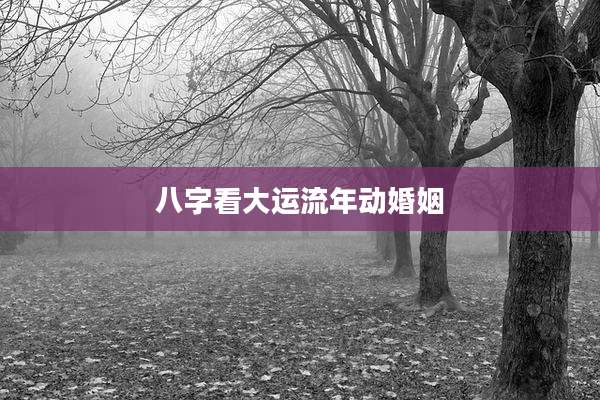 八字看大运流年动婚姻