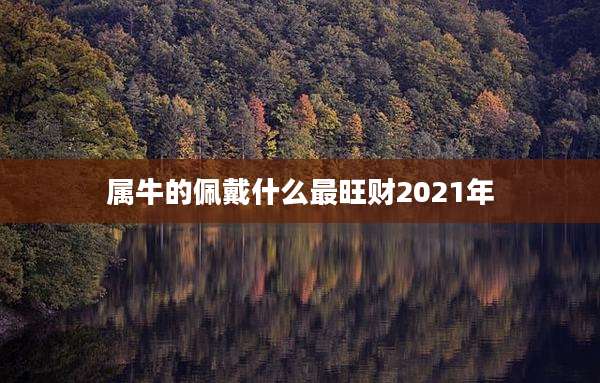属牛的佩戴什么最旺财2021年