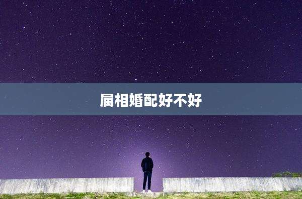 属相婚配好不好