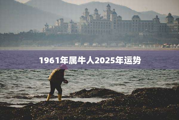 1961年属牛人2025年运势