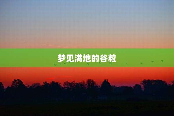 梦见满地的谷粒