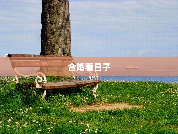 合婚看日子