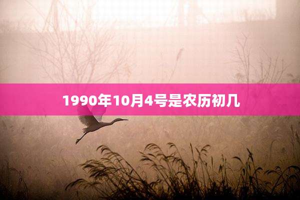 1990年10月4号是农历初几