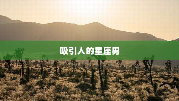 吸引人的星座男